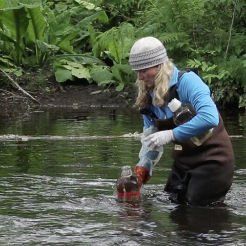 An Interdisciplinary Approach to Studying the Environment