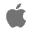 Apple Icon