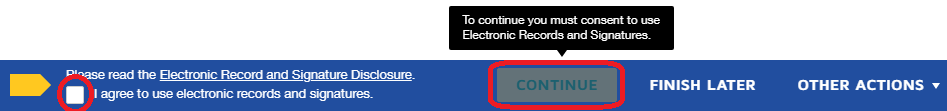 DocuSign record and signature disclosure agreement. Check the box and press Continue.